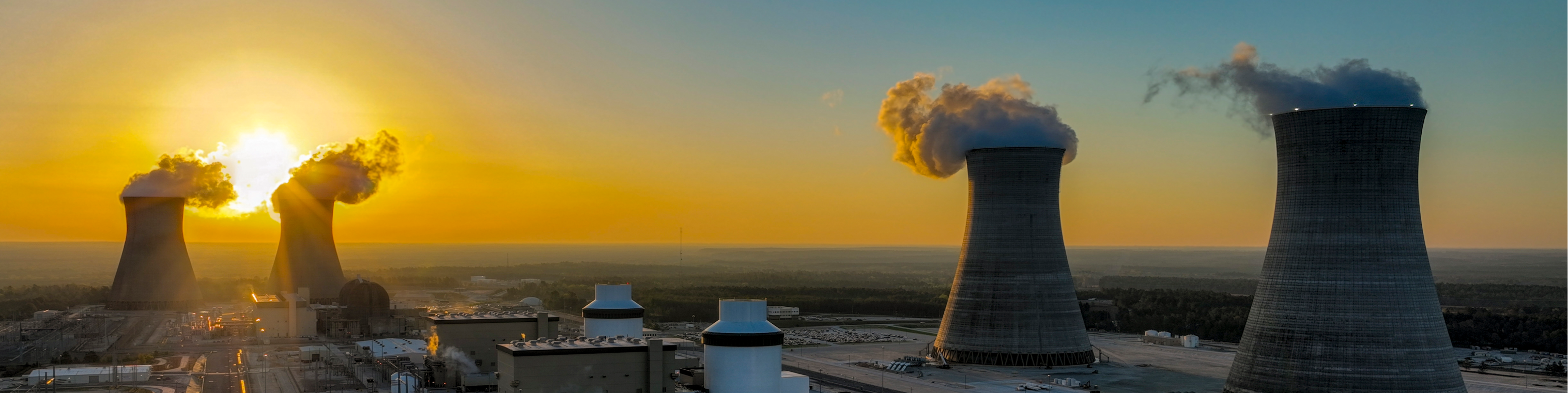 Plant Vogtle