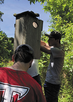 Eagle Scout candidate Will Smith works to remove an existing wood duck box to make room for a new nesting box he built for his Eagle Scout service project.