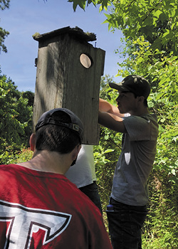 Wood duck nest boxes installed by Eagle Scout candidate at Plant