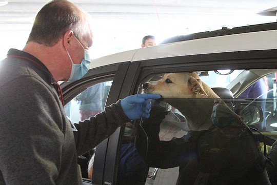 Nurse greeting a patient's dog through car window