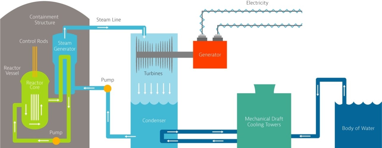 Simplified diagram showing how Plant Farley’s nuclear reactor generates electricity, from the reactor core to turbines and cooling towers.