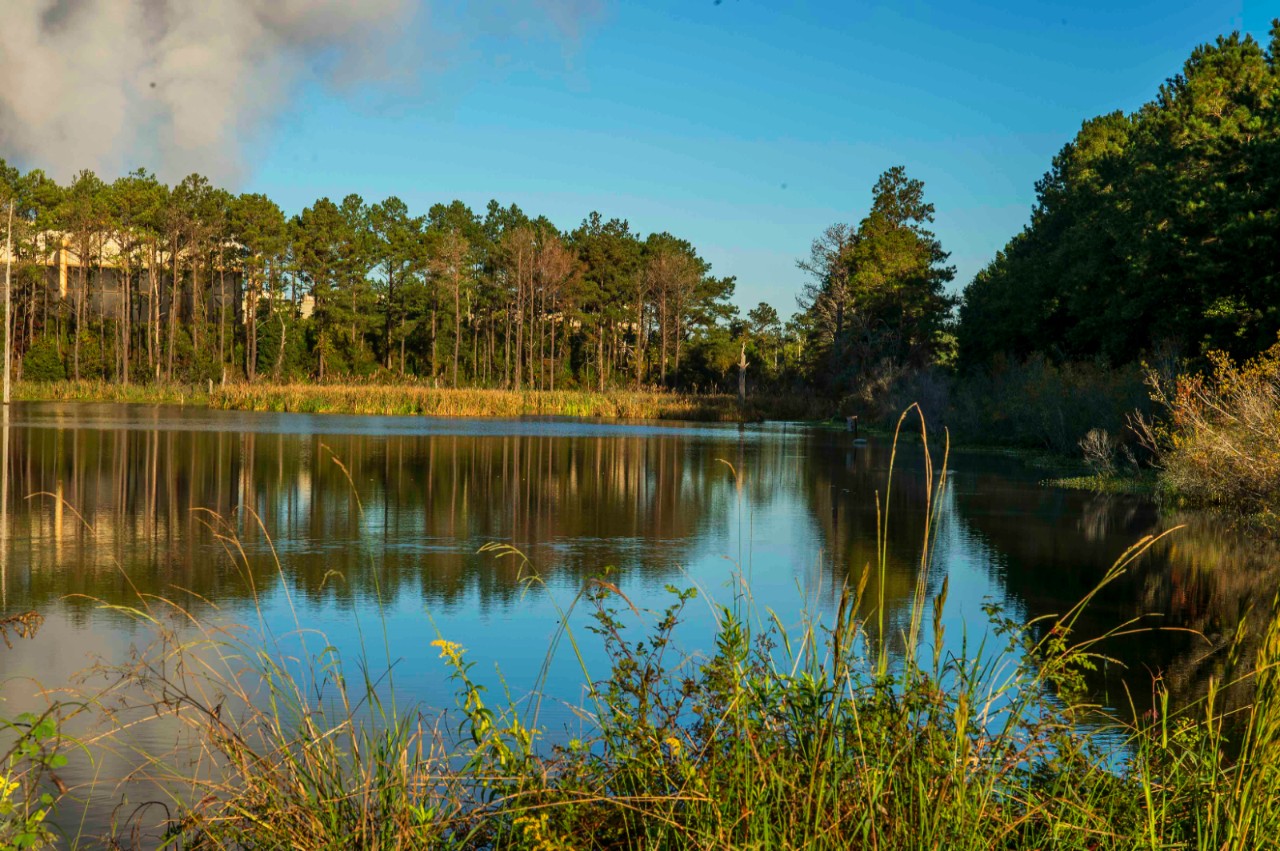 Reflection of Farley Nuclear Plant partially visible through trees surrounding a calm lake, emphasizing the plant’s natural Alabama setting.